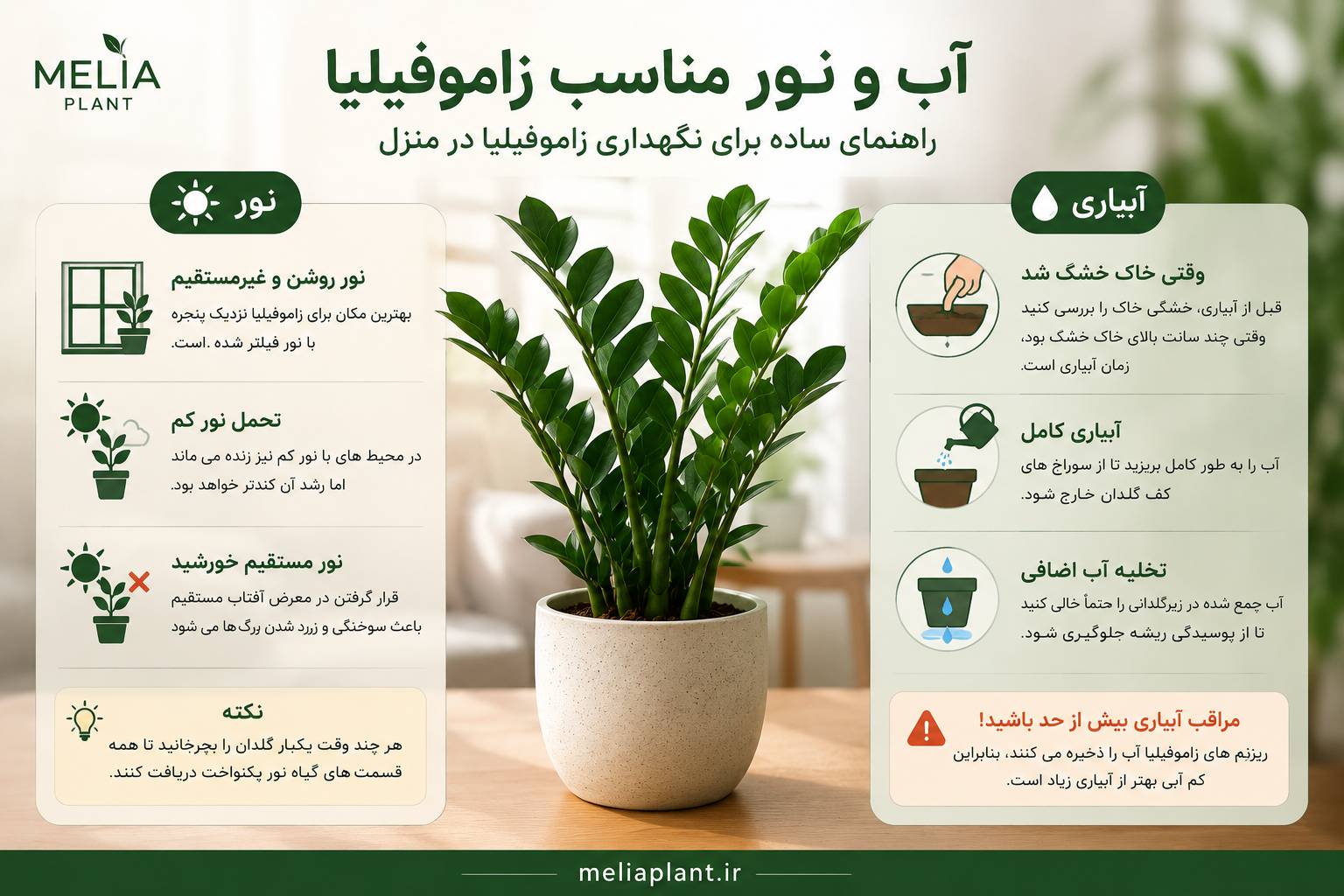 راهنما آبیاری زاموفیلیا